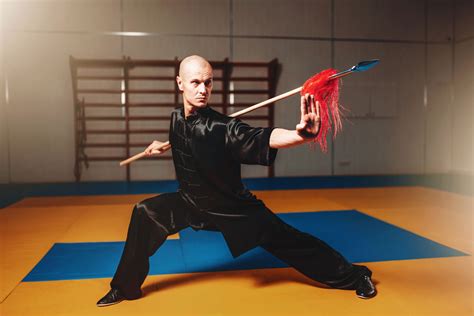Martial Art Master Parimatch
